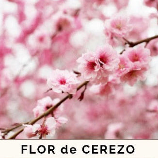 Vela aromática Sakura