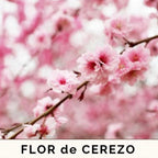 Vela aromática Sakura