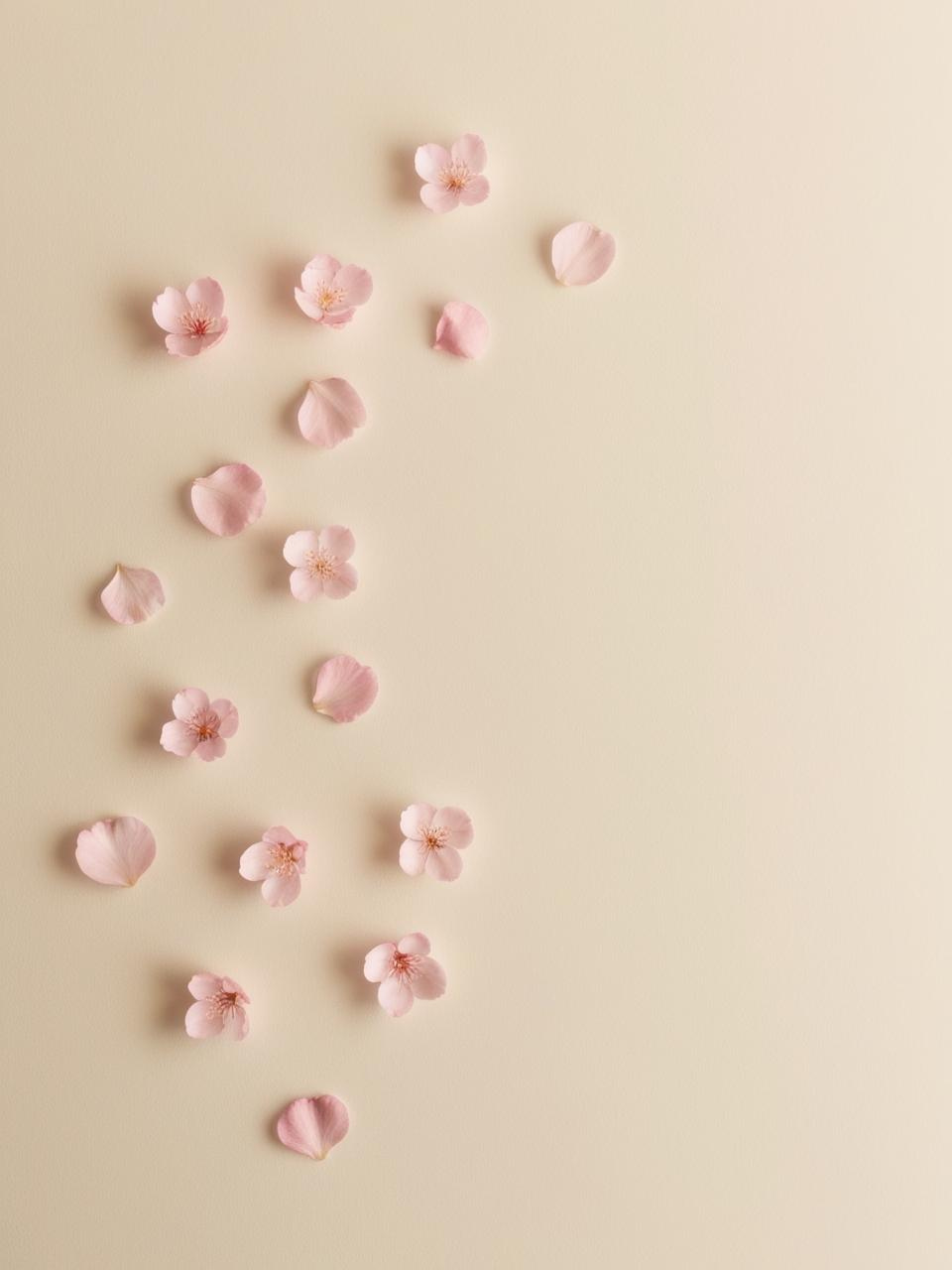 Vela aromática Sakura