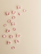 Vela aromática Sakura
